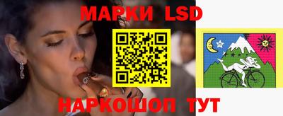 apvp Можга