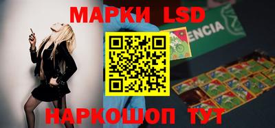apvp Можга