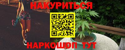 apvp Можга