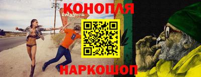 apvp Можга